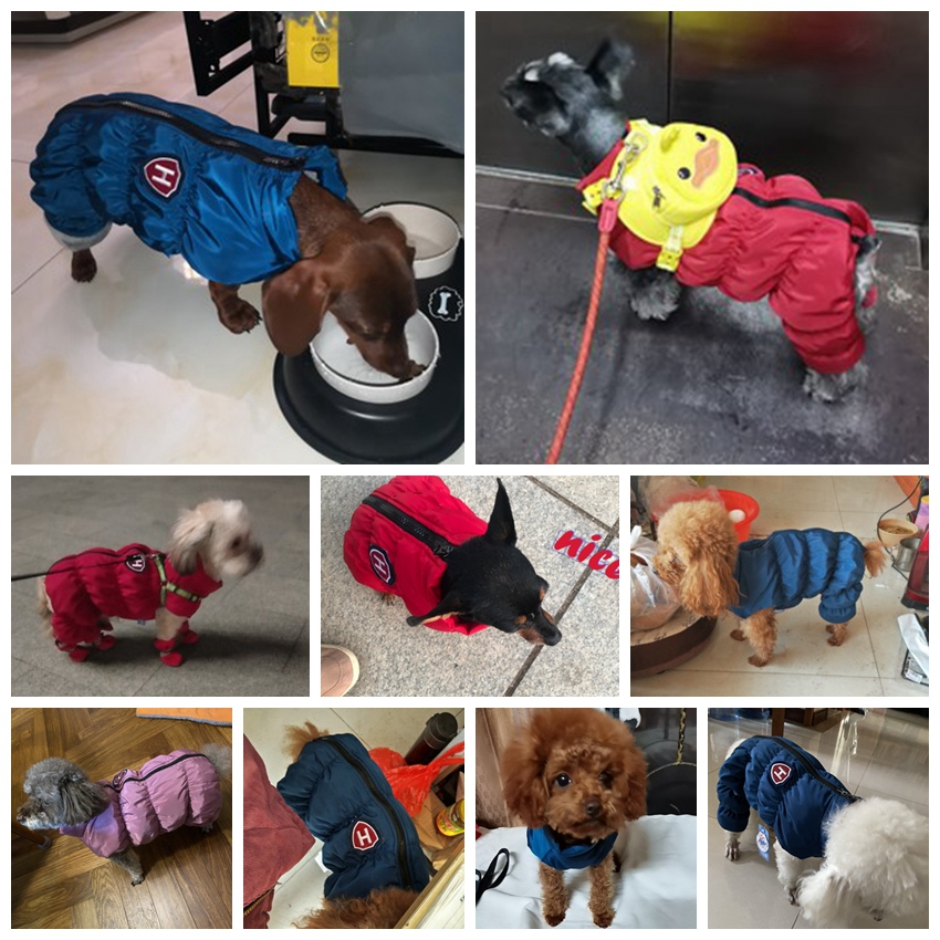 Zipper Snow Unisex Dog Waterpr - Baby Clothing Zipper recensione e prezzo