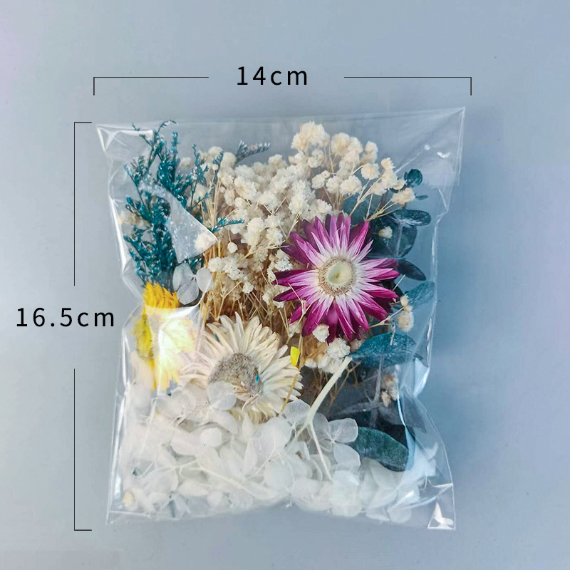 1pack Multifarious Dried Flowe - Newborn Gift Set recensione e prezzo